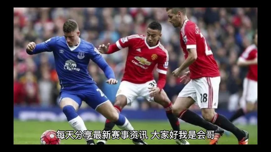 组的战术安 组的战术安