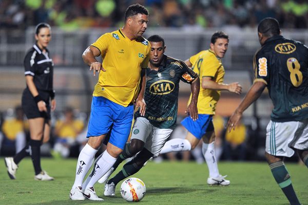 提的是他们 提的是他们